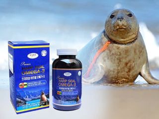 Tinh Dầu Hải Cẩu Hàn Quốc Premium Harp Seal Omega-3 hộp 300 viên