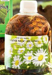 Nước súc miệng Thanh Mộc Hương 500ml
