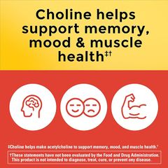 Hỗ trợ não bộ và cơ bắp Choline Nature Made 800mg 180 viên