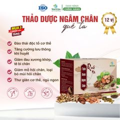 Ngâm Chân Thảo Dược Ngải Cứu & Lá Lốt - Giảm Đau Nhức, Tê Bì, Thải Độc, Ngủ Ngon - Muối Ngâm Chân Sạch Tự Nhiên 25 Túi Lọc