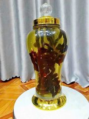 Nấm Linh Chi Sừng Hươu Hàn Quốc Hộp 500g