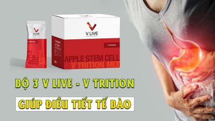 V-Trition+ Thực Phẩm Bảo Vệ Sức Khỏe Hệ Tiêu Hóa, Hỗ trợ Dạ dày, ruột non, đại tràng, các tổn thương hệ tiêu hoá