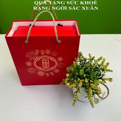 Hộp Đựng Quà Tết 2025 ( 2 hộp tinh bột củ sen ), Sang Trọng, Làm Quà Biếu Tặng, Có Quai Xách Tiện Lợi
