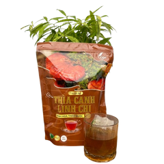 Trà Túi Lọc Thìa Canh Linh Chi Gigaherbs 250g - Hỗ Trợ Ổn Định Đường Huyết, Tăng Cường Miễn Dịch, Giải Độc Gan