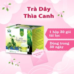 Trà Dây Thìa Canh Hộp 30 Túi Lọc 3Gram - Hỗ Trợ Tiểu Đường và Cải Thiện Sức Khỏe, Trà Thảo Mộc Tự Nhiên Việt Nam