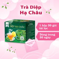 Trà Diệp Hạ Châu Hộp 30 Túi Lọc 3g - Giải Nhiệt, Lợi Tiểu, Thảo Mộc Tự Nhiên Siêu Thị Thiên Nhiên