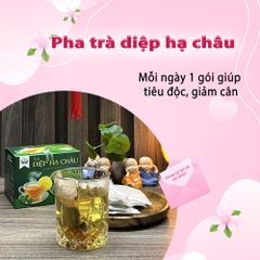 Trà Diệp Hạ Châu Hộp 30 Túi Lọc 3g - Giải Nhiệt, Lợi Tiểu, Thảo Mộc Tự Nhiên Siêu Thị Thiên Nhiên