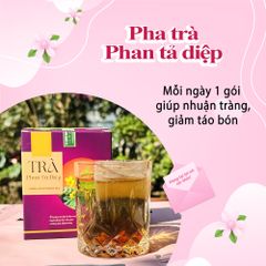 Trà Phan Tả Diệp Giảm Cân - Hộp 30 Túi Lọc 3g Thảo Dược Nhuận Tràng, Tốt Cho Tiêu Hóa, Thức Uống Thiên Nhiên Khỏe Mạnh