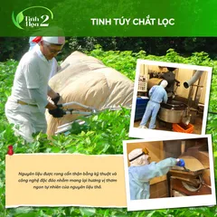 Trà Ngũ Cốc Kaori Nhật Bản - Thức Uống Dinh Dưỡng Hạt Tự Nhiên (7g × 24 Túi) - Lành Mạnh Cho Cả Gia Đình