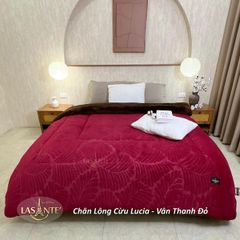 Chăn Lông Cừu Lucia Thanh Vân - Chăn Cừu Giá Tốt Lasante