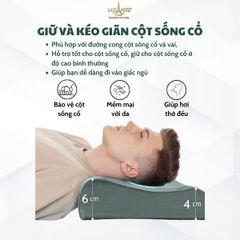 Gối Cao Su Thấp 4 Cm Form Lượn Sóng - Chính Hãng Lasante