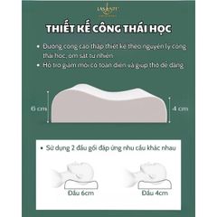 Gối Cao Su Thấp 4 Cm Form Lượn Sóng - Chính Hãng Lasante