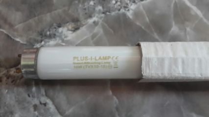 Bóng Đèn 10W Pluslamp Cho Đèn Bắt Muỗi - T8, 30cm, An Toàn Không Vỡ, Phụ Kiện Đèn Muỗi Hiệu Quả