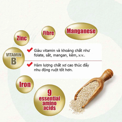 Sữa Yến Mạch Hữu Cơ Biogreen Beta Gold - Nguồn Năng Lượng và Dinh Dưỡng Cho Người Lớn Tuổi, Giảm Cholesterol, Tăng Cường Miễn Dịch