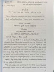 Luật Tư pháp Người Chưa Thành Niên 2024 - Tác giả Quốc Hội, Bìa Mềm, 204 Trang, Cập Nhật Luật Mới Tại Việt Nam