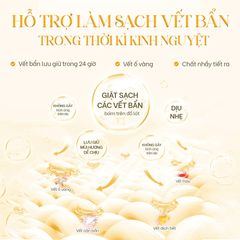 Nước Giặt Đồ Lót Aini Dịu Nhẹ 100ml - Sạch Sâu, An Toàn Cho Da Nhạy Cảm, Hương Thơm Dễ Chịu, Phù Hợp Với Pha Nguyên Liệu Tự Nhiên