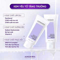 Kem Phục Hồi Da Treatment Ahohwa Inten - Giúp Da Khỏe Mạnh & Tươi Trẻ, Giãn Mao Mạch, Dưỡng Ẩm Sâu 80ml