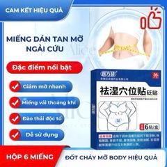 Miếng Dán Tan Mỡ Ngải Cứu Đông Y Hộp 6 Miếng - Giảm Mỡ Bụng, Eo, Đùi, Tự Nhiên, Hỗ Trợ Giảm Cân Hiệu Quả