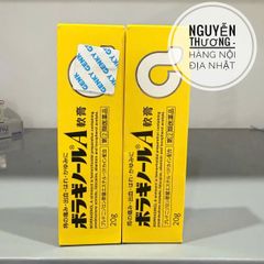 Kem Bôi Trĩ Chữ A Nhật Bản 20gr - Giảm Triệu Chứng Khó Chịu, Hỗ Trợ Lành Vết Thương, Tiện Dụng Cho Người Dùng