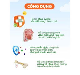 Siro NippiKid ImunAktiv Tăng Cường Đề Kháng Cho Bé 100ml - Giúp Ngăn Ngừa Viêm Đường Hô Hấp, Hỗ Trợ Sức Khỏe Trẻ Em