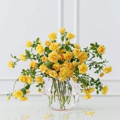 Lọ Hoa Bohemia Optika Đường Kính 25,5cm - Lọ Cắm Hoa Sang Trọng, Phong Cách Hiện Đại, Trang Trí Phòng Khách Thẩm Mỹ Cao