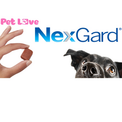 Viên Nex-Gar.d Chăm Sóc Thú Cưng - Loại Bỏ Ve, Ghẻ, Bọ Chét Cho Chó 10-50kg - Hiệu Quả Nhanh Chóng, An Toàn, Tiện Lợi