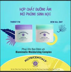 Kem Đêm Dưỡng Ẩm Nuskin 75ml - Giải Pháp Chăm Sóc Da Khô và Da Dầu, Phục Hồi Độ Ẩm và Sự Tươi Mới Cho Làn Da