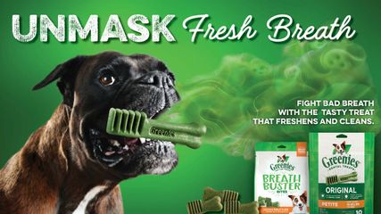 Bánh thưởng Greenies Original Petite cho chó - Bánh nhai dinh dưỡng tốt cho răng miệng, giúp hơi thở thơm mát, phù hợp cho chó từ 7-11kg