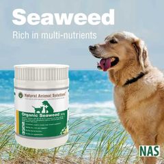 Khoáng Chất Tảo Biển Hữu Cơ Dinh Dưỡng Cho Thú Cưng - Natural Animal Solutions 300g, Tăng Cường Sức Khỏe Chó, Mèo, Ngựa