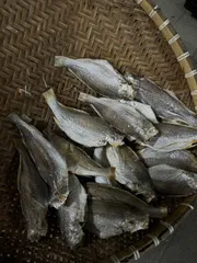 Khô Cá Đù/Khô cá đổng loại ngon vị chất lượng làm, từ cá tươi Thịt cá dai, chắc, dày ăn rất ngon miệng [500gram]