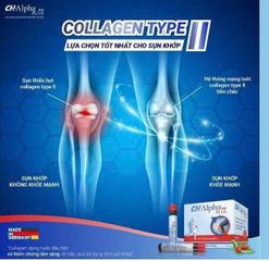 Kollagen CH-Alpha Plus - Hỗ Trợ Xương Khớp, Giảm Đau, Tái Tạo Sụn Hiệu Quả, Duy Trì Vận Động Linh Hoạt, 5 Trong 1 Giải Pháp Vàng