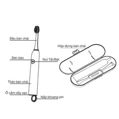 Bàn Chải Điện Laica PC4004 Chính Hãng - Hiệu Suất Cao 41000 Xung/Phút, Chống Nước IPX7, Dành Cho Người Niềng Răng