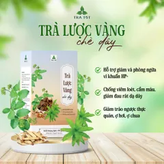 Trà lược vàng chè dây 6 vị TRA TOT giảm trào ngược dạ dày thực quản