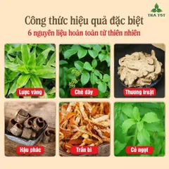 Trà lược vàng chè dây 6 vị TRA TOT giảm trào ngược dạ dày thực quản