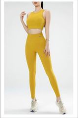 Bộ Đồ Tập Yoga Nữ Dệt Kim Có Đệm Chống Sốc Ngực - Áo Bra & Quần Lưng Cao Thoáng Mát, Thời Trang Thể Thao Cao Cấp