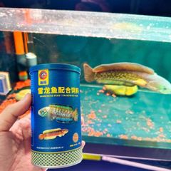 Cám Cá Lóc Porpoise 125g - Thức Ăn Dinh Dưỡng Cải Thiện Màu Sắc và Tăng Trưởng cho Cá Cảnh Nhật Bản