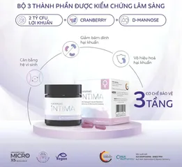 Viên Uống Men Vi Sinh Phụ Nữ Lactobact Intima 60 Viên - Bảo Vệ Vùng Kín, Ngăn Ngừa Viêm Nhiễm, Cân Bằng pH Tự Nhiên