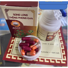 Viên uống hỗ trợ đau nhức xương khớp Song Long Thống Phong Đan - 40 viên, ngăn ngừa loãng xương và thoái hóa xương