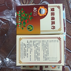 Viên uống hỗ trợ đau nhức xương khớp Song Long Thống Phong Đan - 40 viên, ngăn ngừa loãng xương và thoái hóa xương