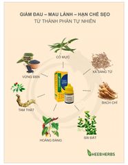 Gói 6 Dung Dịch Vết Thương Hedar - Giảm Đau, Cầm Máu, Hỗ Trợ Làm Lành Nhanh Chóng Và Ngăn Ngừa Sẹo Cho Vết Thương, Vết Bỏng