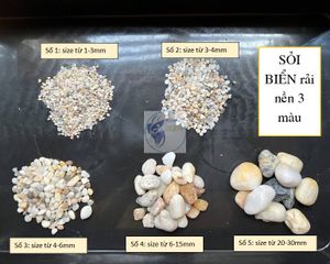 Sỏi Biển Ba Màu Tự Nhiên Trang Trí Thủy Sinh - Chất Lượng Cao, 500g - 1kg cho Bể Cá và Không Gian Sống Tươi Mát