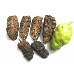 TRÁI NHÀU KHÔ TỰ NHIÊN - Hỗ Trợ Sức Khỏe, Giúp Ngâm Rượu, Ngâm Đường, Nấu Nước Uống - Sản Phẩm ĐÔNG Y TUỆ AN