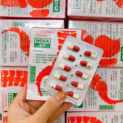 Viên Uống Xương Khớp Noxa 20 Thái Lan - Giảm Đau Nhức Khớp, Cải Thiện Thoái Hóa Cột Sống, Combo 12 Hộp Chính Hãng