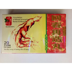 Nhân Sâm Hồi Xuân Tái Tạo Hoàn Hỗ Trợ Sức Khỏe Xương Khớp - Giảm Đau Nhức, Tê Mỏi Tay Chân (Hộp 20 Viên)