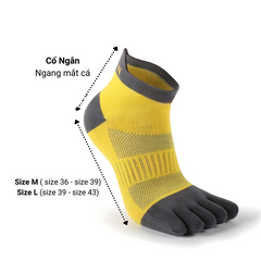 Tất Xỏ Ngón Thể Thao PÊ ĐAN - Vớ Chạy Bộ Thoáng Mát, Chất Liệu Cotton, Đệm êm, Dùng Cho Nam Nữ, Đạp Xe, Cắm Trại