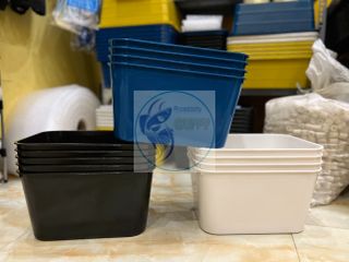 Khay Nhựa Nuôi Cá Cảnh 7L - Dụng Cụ Ép Cá Đẻ, Trồng Rau, Chất Lượng Cao, Phụ Kiện Guppy, Betta, Guppy, Cá 7 Màu