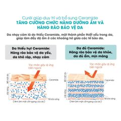 Gel Tẩy Trang Curél Cấp Ẩm Chuyên Sâu 130g - Tẩy Trang Nhẹ Nhàng Cho Da Nhạy Cảm, Không Chứa Dầu, Dưỡng Ẩm Tối Ưu