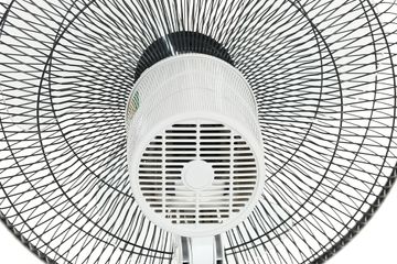 Quạt đứng Sharp PJ-S40RV-WH 50W - Quạt điện tích hợp 3 tốc độ gió, điều chỉnh chiều cao, thiết kế sang trọng cho không gian sống hiện đại