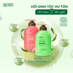 Combo Dầu Gội Xả Cỏ Cây Hoa Lá Bưởi Trà 500g - Giúp Phục Hồi Tóc Hư Tổn, Kích Thích Mọc Tóc, Dưỡng Tóc Khỏe Mạnh