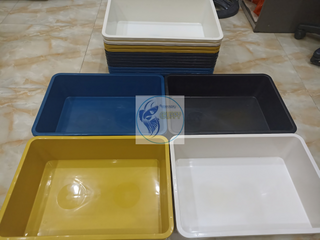 Khay Nhựa Nuôi Cá Cảnh 16L - Để Ép Cá, Trồng Rau, Đựng Đồ - Phụ Kiện Chất Lượng Cho Betta, Guppy, Cá 7 Màu
